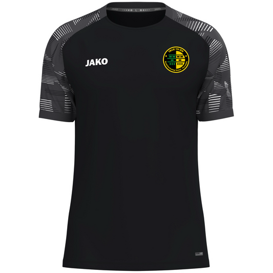 KV Trije Yn Ien T-shirt Sonic