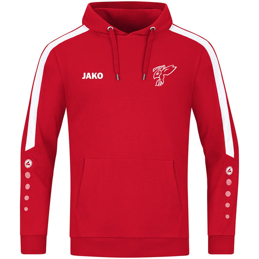 HBV Hornets Sweater met kap Power