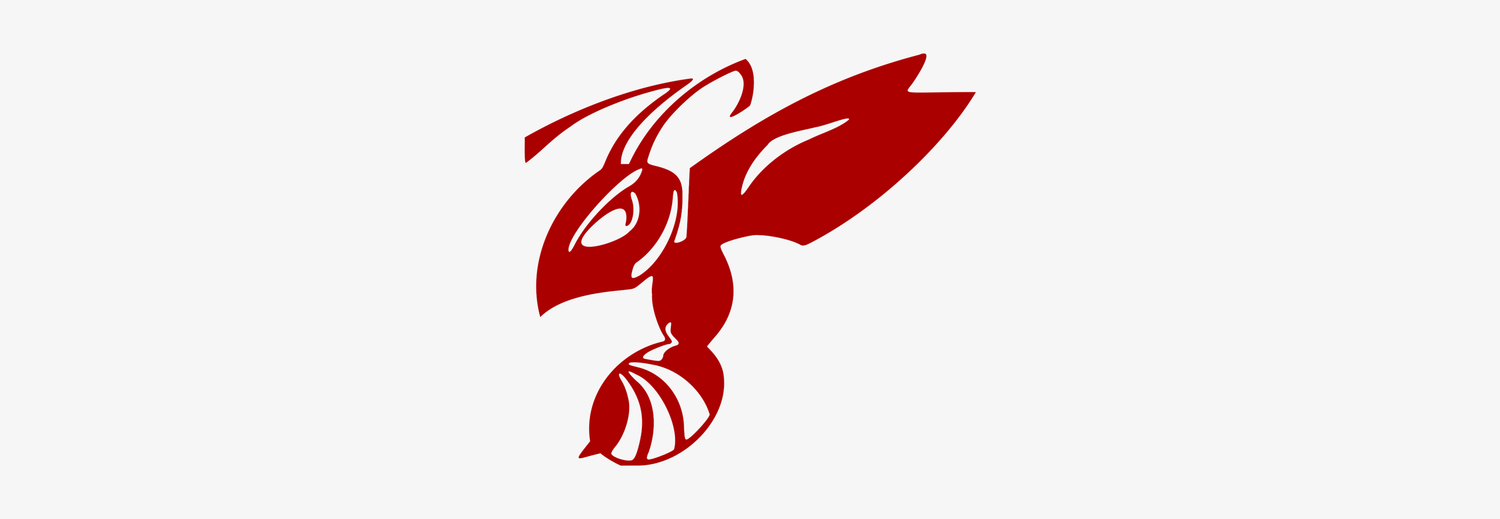 Clubshop HBV Hornets